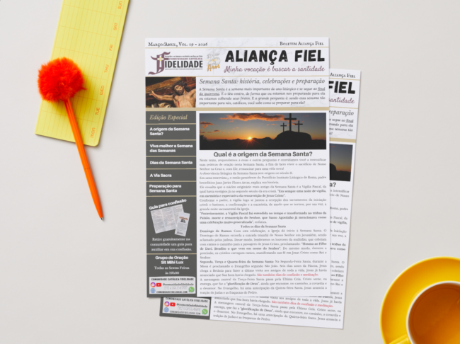 Captura de tela 2026-03-25 0840311